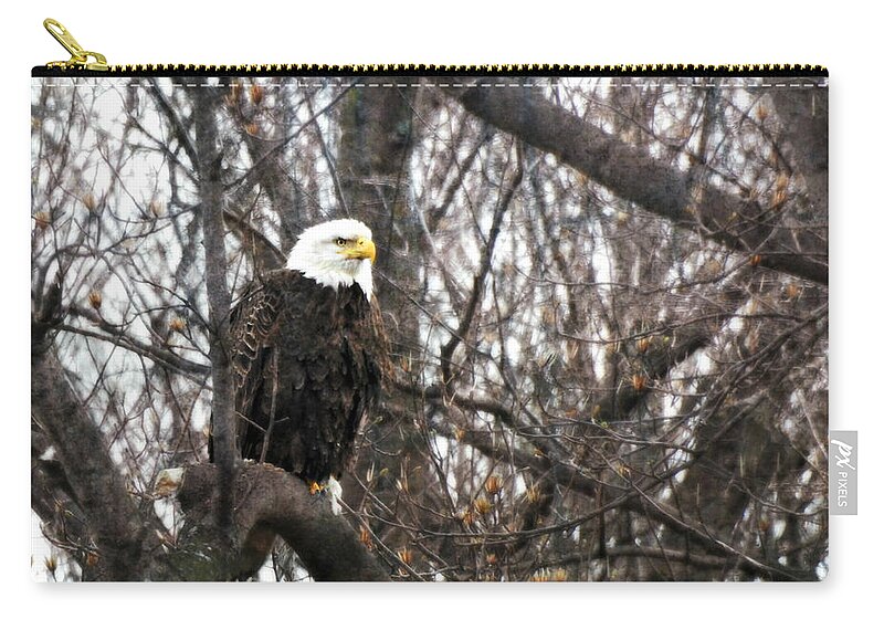 Eagle Eye Zip Pouch featuring the photograph Eagle Eye by Dark Whimsy