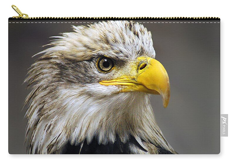 Eagle Zip Pouch featuring the photograph Eagle by Harry Spitz