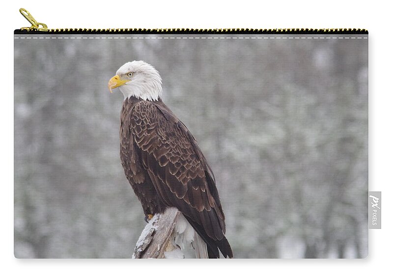 Eagle Zip Pouch featuring the photograph Eagle lookng over the Klickitat river by Jeff Swan