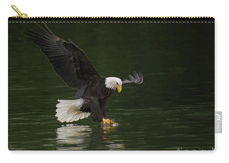 Bald Eagle Zip Pouch featuring the photograph Eagle on the Skagit River by John Greco