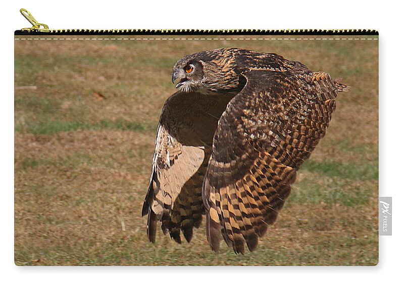 Wildlife Zip Pouch featuring the photograph Eagle Owl On the Hunt 2 by William Selander