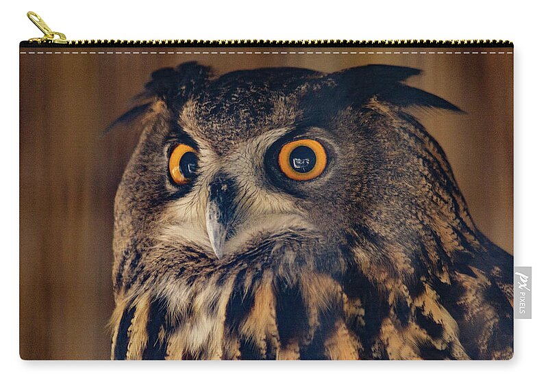 United States Zip Pouch featuring the photograph Eagle Owl by SAURAVphoto Online Store