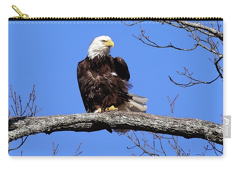 Eagle Zip Pouch featuring the photograph Eagle Ruffled Feathers by TnBackroadsPhotos