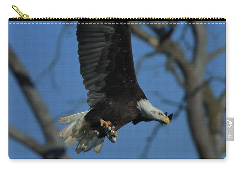 Eagle Zip Pouch featuring the photograph Eagle with Fish by Coby Cooper