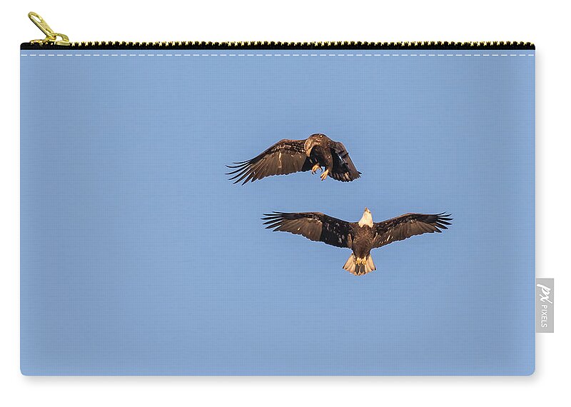 American Bald Eagle Carry-all Pouch featuring the photograph Eagles Dancing In Air by Thomas Young