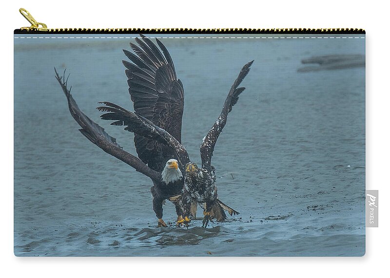 Eagles Zip Pouch featuring the photograph Eagles of Juneau 2 by Patricia Dennis