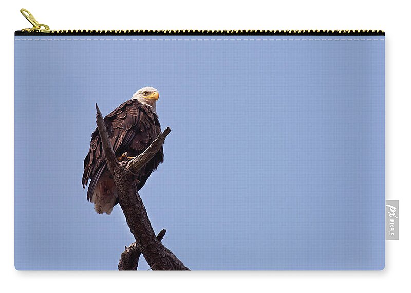 Bald Eagles Zip Pouch featuring the photograph Eagle's Perch by David Lunde
