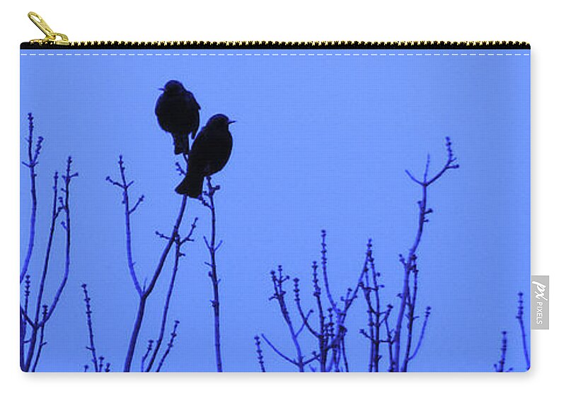 Birds Zip Pouch featuring the photograph Early Birds by Mark Blauhoefer