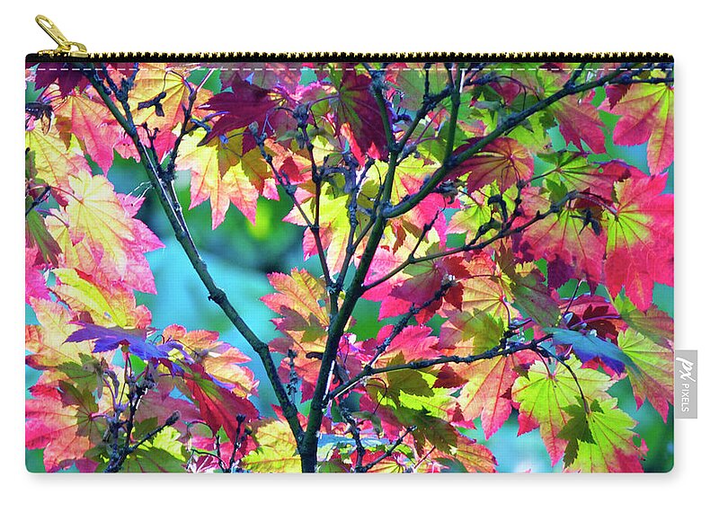 Fall Zip Pouch featuring the photograph Early Fall Foliage by Emerita Wheeling