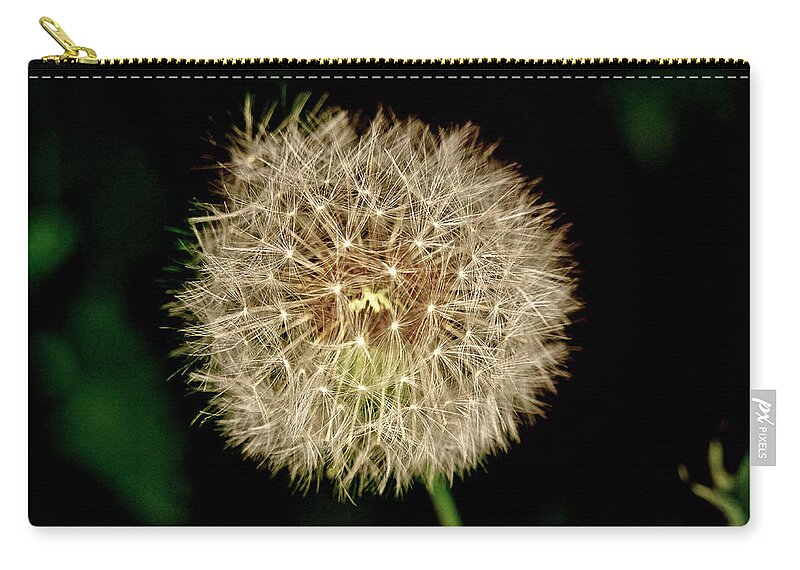 Dandelion Carry-all Pouch featuring the photograph Early in the morning. by Elena Perelman