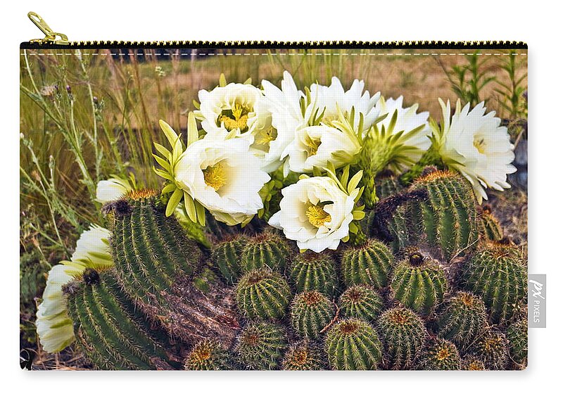 Barrel-cacti Zip Pouch featuring the photograph Early Morning Barrel Cactus Blossoms by Joyce Dickens
