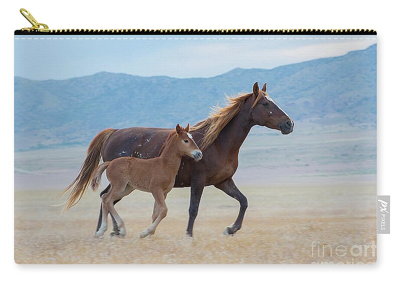 Nikon Zip Pouch featuring the photograph Early Morning Run by Nicole Markmann Nelson
