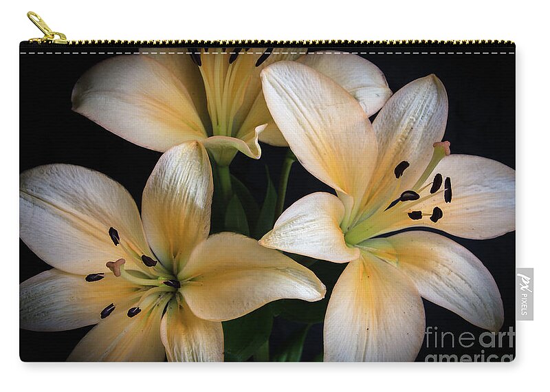 Closeup Zip Pouch featuring the photograph Easter Lilies by Deborah Klubertanz