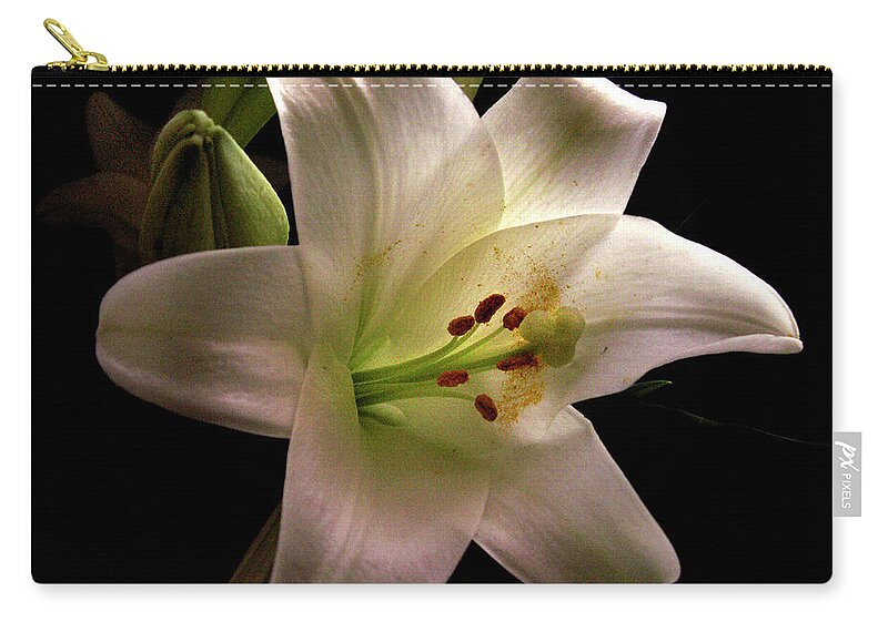 Easter Zip Pouch featuring the photograph Easter Lily Three by Nancy Griswold
