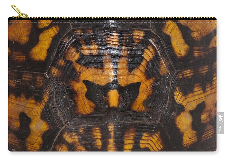 Reptile Zip Pouch featuring the photograph Eastern Box Turtle, Shell Pattern by Scott Camazine