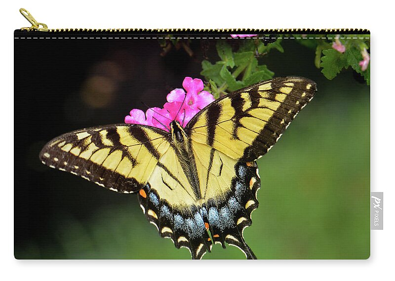 Butterfly Zip Pouch featuring the photograph Eastern Tiger Swallowtail by Amy Porter