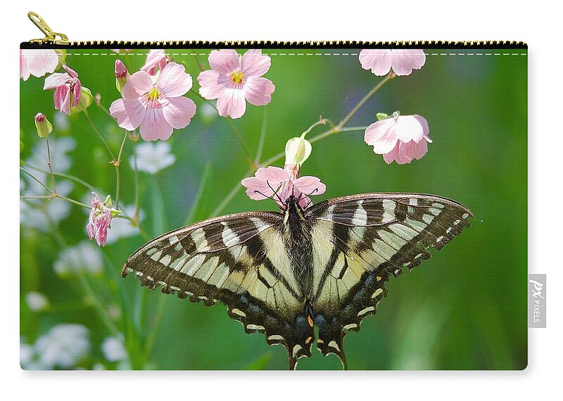 Eastern Zip Pouch featuring the photograph Eastern Tiger Swallowtail by Michael Peychich