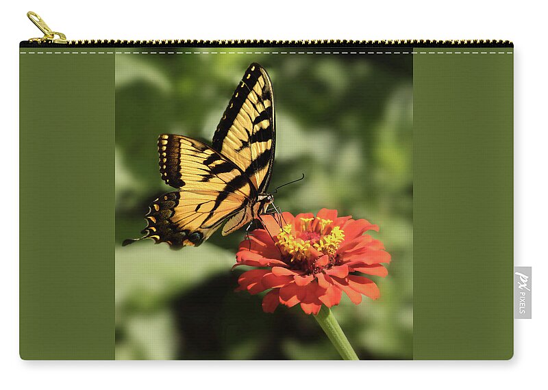 Butterfly Zip Pouch featuring the photograph Eastern Yellow Swallowtail by Don Spenner
