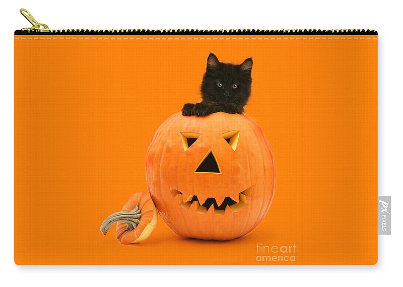 Maine Coon Zip Pouch featuring the photograph Eaten by a Giant Pumpkin by Warren Photographic