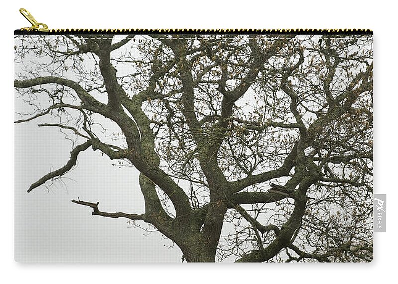 Edgartown Zip Pouch featuring the photograph Edgartown Scene by Charles Harden