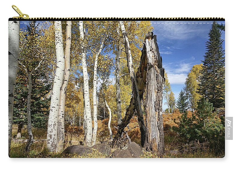 Aspen Trees Zip Pouch featuring the photograph Edge of the Woods by Leda Robertson
