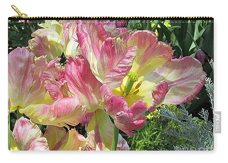 Photography Zip Pouch featuring the photograph Edged in Pink by Kathie Chicoine