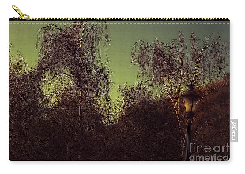 Clay Zip Pouch featuring the photograph Eery Park by Clayton Bruster