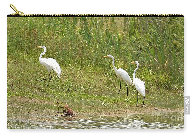 Egret Family 1 Zip Pouch featuring the photograph Egret Family 1 by Maria Urso