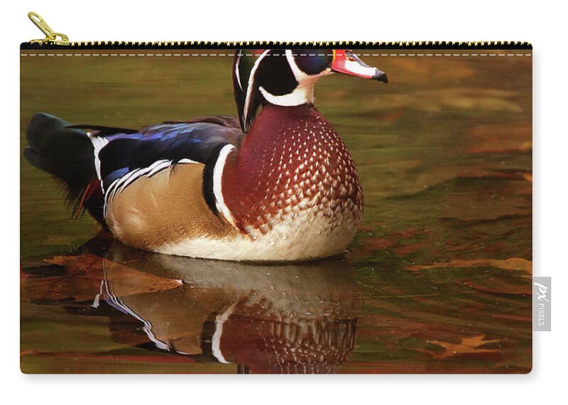 Zip Pouch featuring the photograph Elaborate Perfection by Rob Blair