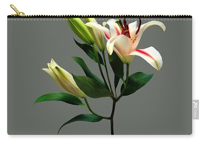 Lily Zip Pouch featuring the photograph Elegant Lily and Buds by Susan Savad