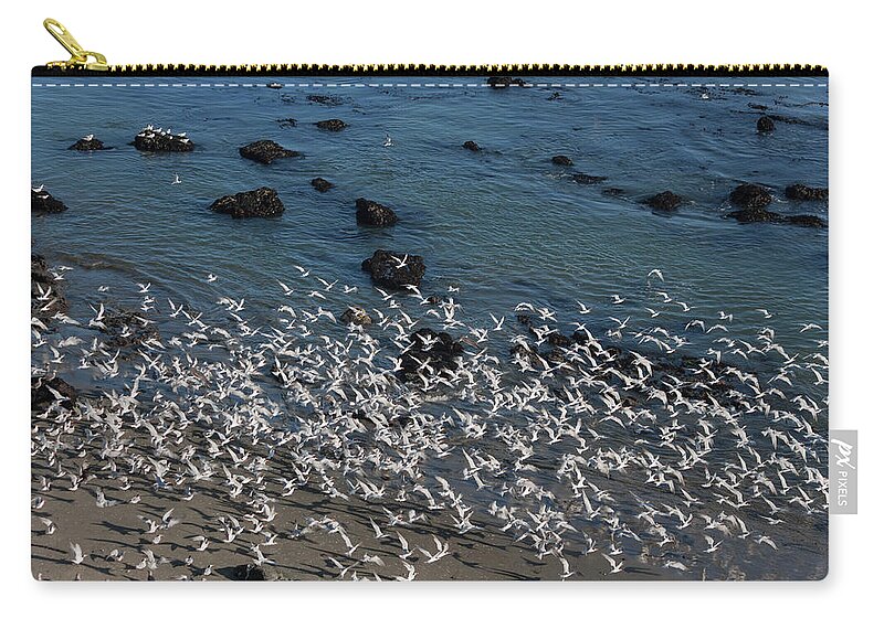 Photograph Zip Pouch featuring the photograph Elegant Terns in Flight by Suzanne Gaff