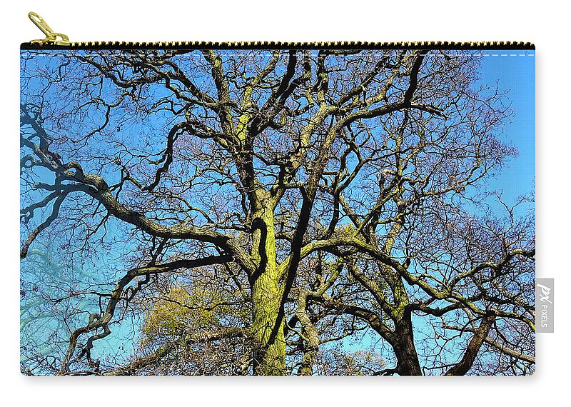 Photos' Landscapes' Abstract' Zip Pouch featuring the photograph Elements 114 by The Lovelock experience