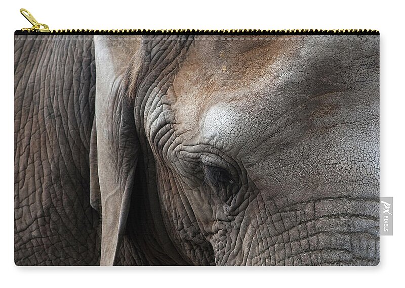 Elephant Zip Pouch featuring the photograph Elephant Eye by Lorraine Devon Wilke
