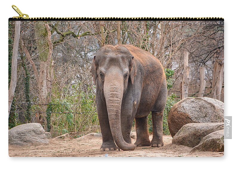 Animal Zip Pouch featuring the photograph Elephant by Ingrid Dendievel