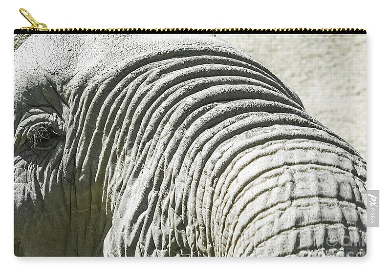 Elephant Zip Pouch featuring the photograph Elephant Portrait Close Up by Kimberly Blom-Roemer