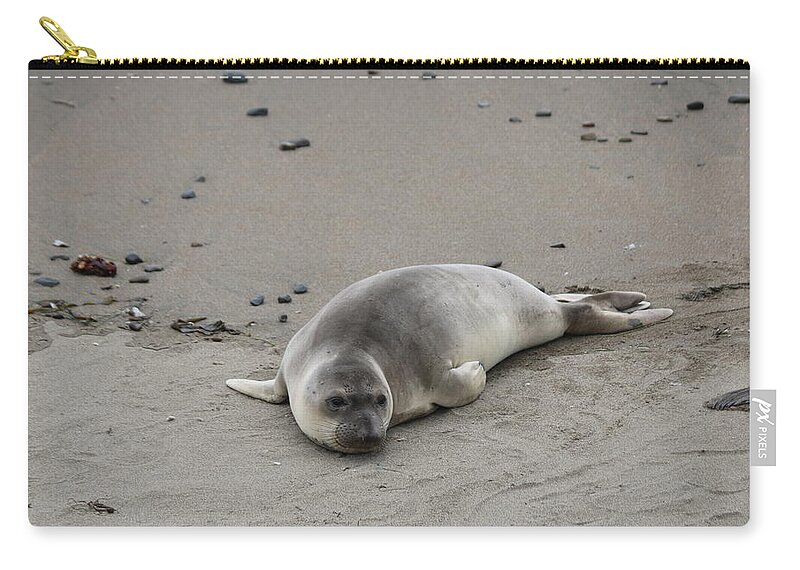 Elephant Seal Zip Pouch featuring the photograph Elephant Seal - 2 by Christy Pooschke
