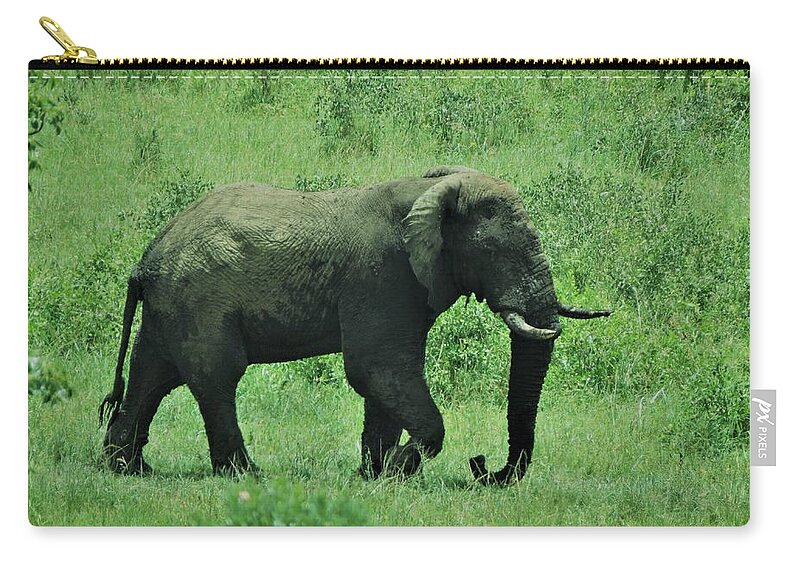 Elephant Zip Pouch featuring the photograph Elephant Walks by Vijay Sharon Govender