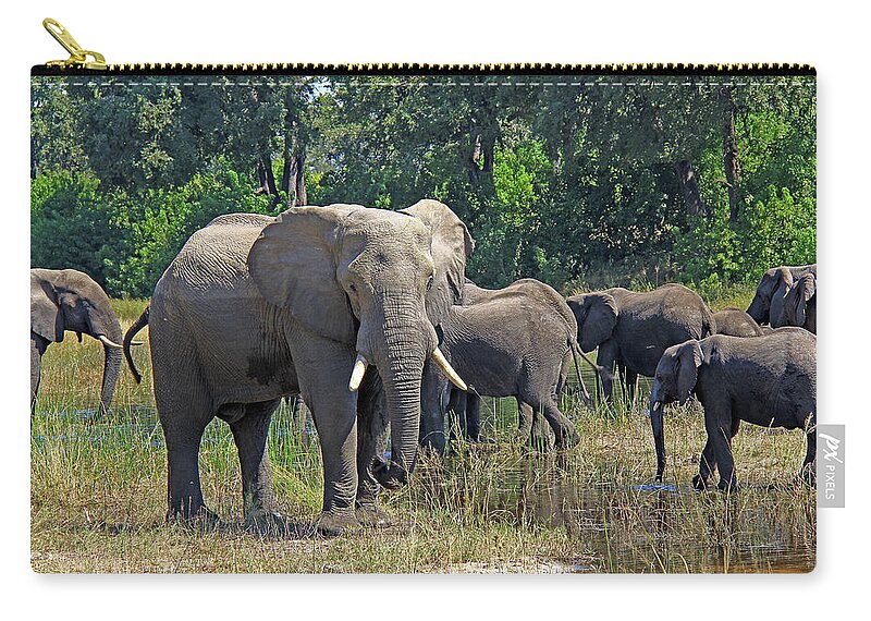Elephant Zip Pouch featuring the photograph Elephants 3 by Richard Krebs