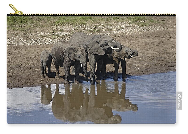 Africa Zip Pouch featuring the photograph Elephants in the Mirror by Michele Burgess