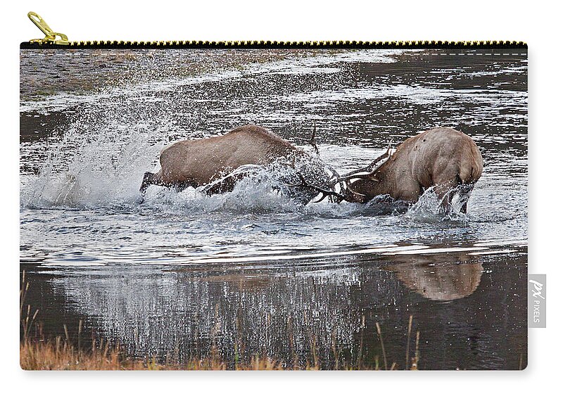 Elk Zip Pouch featuring the photograph Elk Fight by Wesley Aston