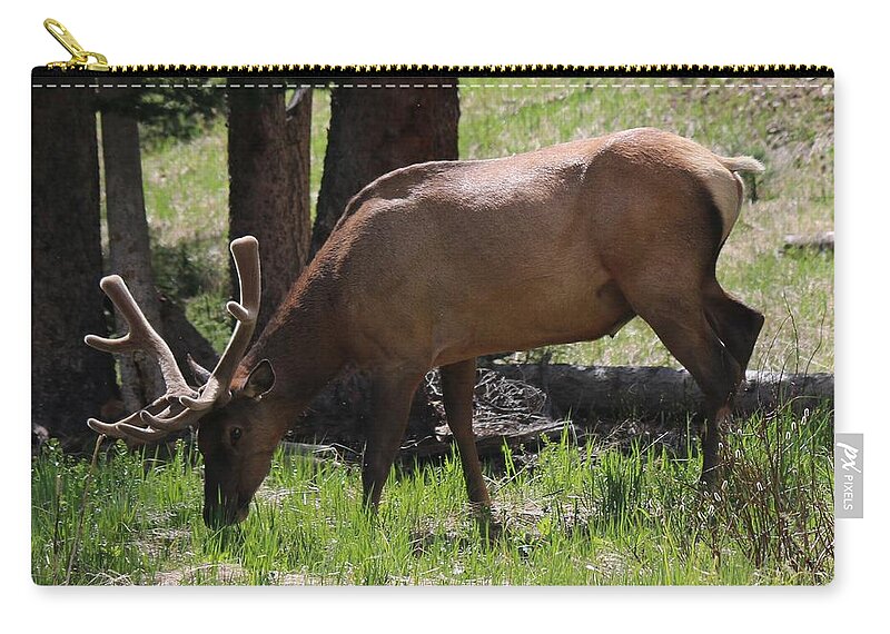 Elk Zip Pouch featuring the photograph Elk Grazing  by Christy Pooschke