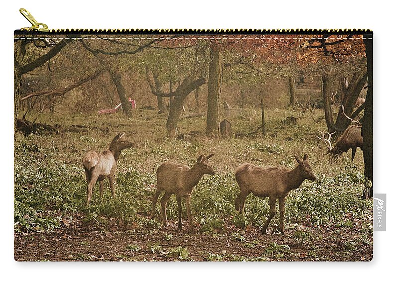 Elk Zip Pouch featuring the photograph Elk in The Early Morning by Michael Peychich