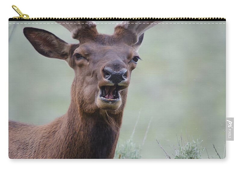 Bull Elk Zip Pouch featuring the photograph Elk Portrait by Crystal Wightman