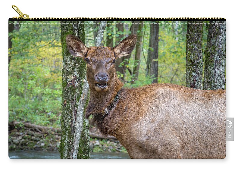 North Zip Pouch featuring the photograph Elk in the Woods 2 by Tim Stanley