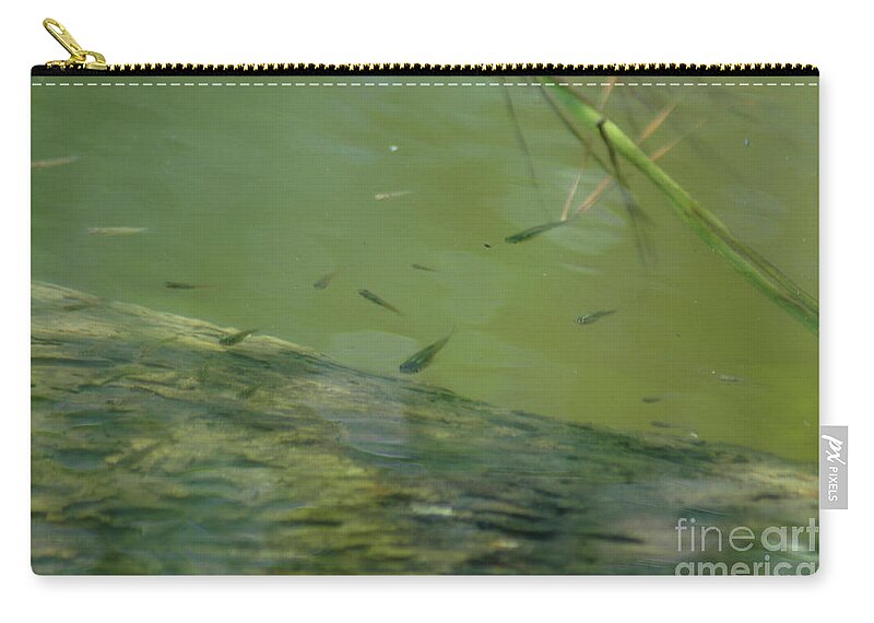 Minnow Zip Pouch featuring the photograph Emerald Shiner by Dale Powell