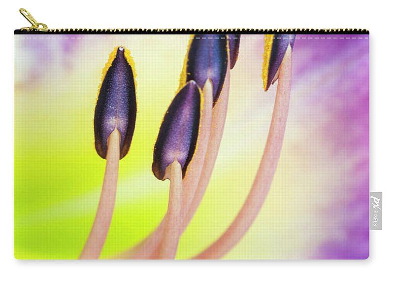 Daylily Carry-all Pouch featuring the photograph Emerging from fire. by Usha Peddamatham