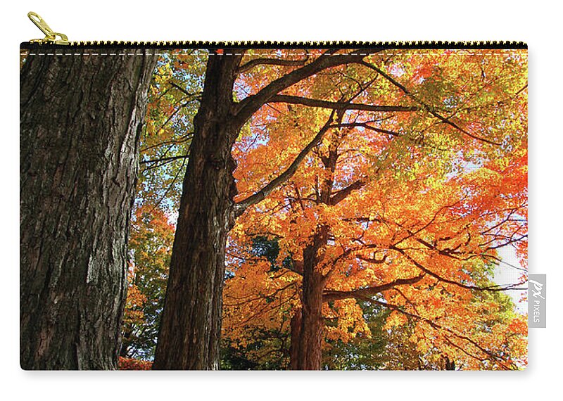 Photography Carry-all Pouch featuring the photograph Emery Farm Trees Fall Foliage by Brett Pelletier
