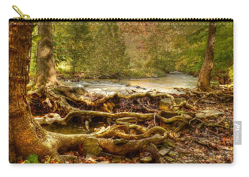 Trees Zip Pouch featuring the photograph Enchanted Forest by Ann Bridges