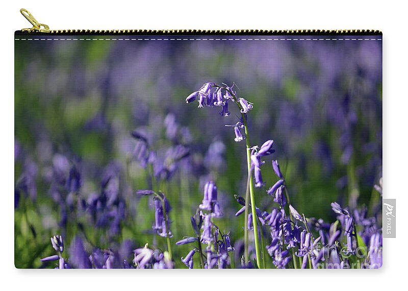 English Bluebells In Bloom Epsom Surrey Uk English Bluebells Wood Effingham Surrey Uk Countryside Landscape Blue Flowers Traditional Scene Woodland Bluebell Forest Picturesque Close Up Zip Pouch featuring the photograph English Bluebells in Bloom by Julia Gavin