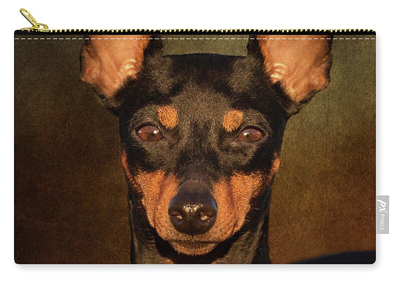 English Toy Terrier Zip Pouch featuring the photograph English Toy Terrier by Diana Andersen